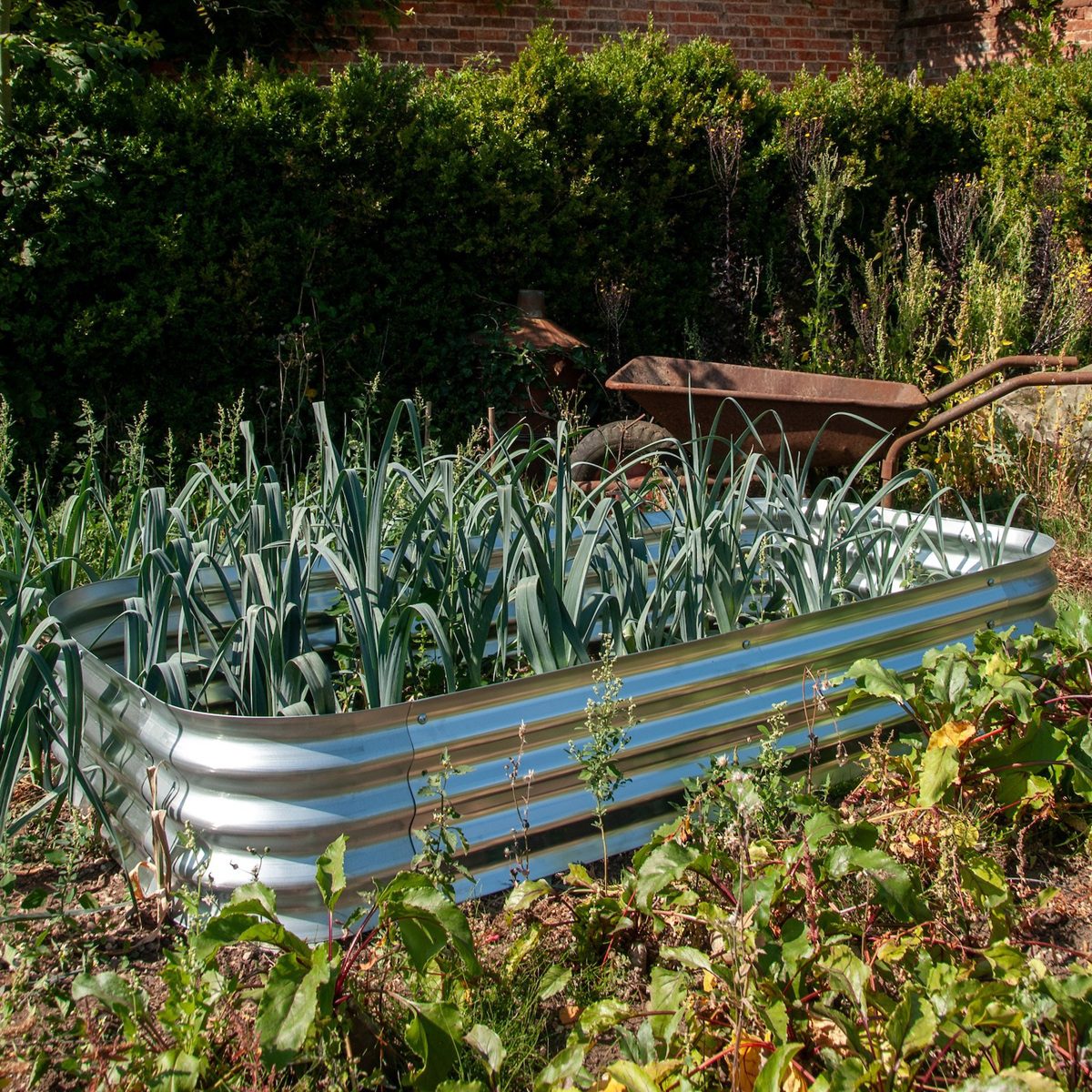 5056771096907 1 Hillier Galvansied Metal Raised Bed.jpg
